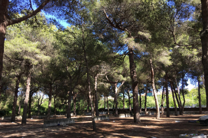 Imatge del antiguo càmpig El Buen Vino, donde se intalarà un parque de actividades al aire libre.