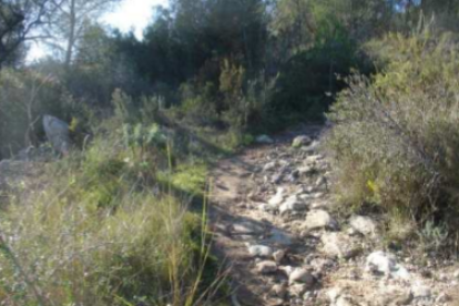 Un camino de época romana en la zona.