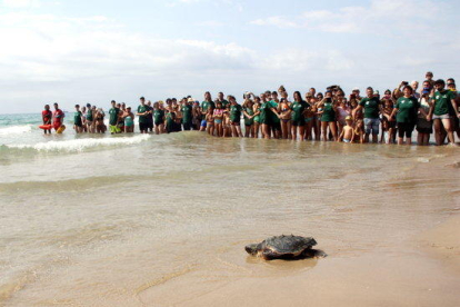 Plano general de una tortuga alelada adentrándose en el Mediterráneo en medio de una gran expectación en la playa Llarga de Tarragona, el 31 de agosto del 2016.