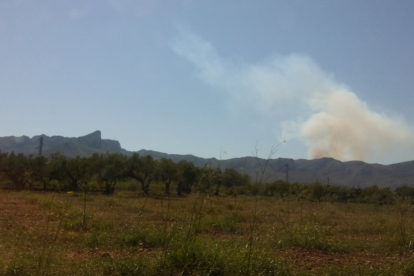 La columna de fum generada pel foc vista des de la carretera TV-3022 a Rasquera.