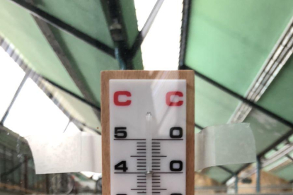 Un termòmetre marca dotze graus a l'aula durant el migdia.