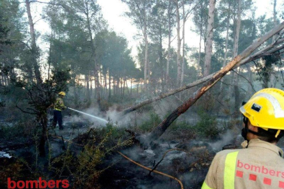 Imatge del bosc cremat a Rasquera mentre actuaven els bombers