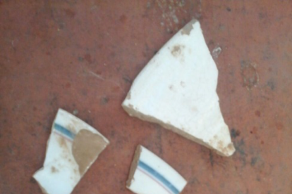 Imagen de las piezas de cerámica que ha descubierto la Melisa.