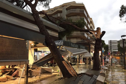Un árbol caído encima de un comercio a la calle Carles Buigas de Salou
