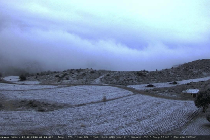 Imagen de la nieve en el Plan de l'Ermitanet.