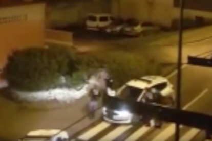 El vídeo es va gravar al carrer San José Artesano i mostra els agents abatent l'animal.