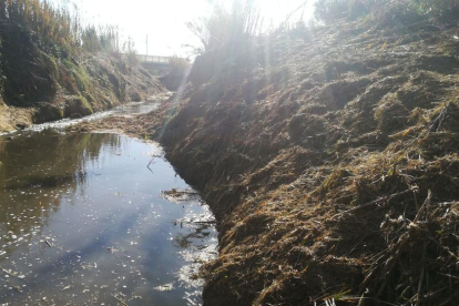 Pla obert on es pot veure aigua circulant pel barranc de Barenys, a Reus, el gener de 2018