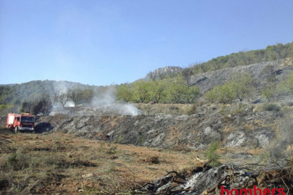 Imágenes de las tareas de extinción del incendio que ha quemado vegetación en Alforja.