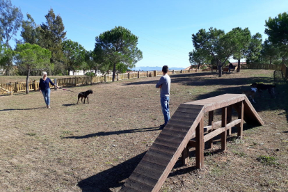 El parque canino está equipado con un circuito de agility donde los perros pueden entrenar o jugar.