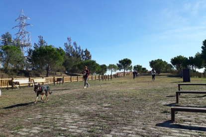 El parc caní està equipat amb un circuit d'agility on els gossos poden entrenar o jugar.