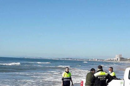 La policia local moment abans de treure el dofí mort de la platja