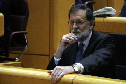 Primer plano de Rajoy al pleno del Senado.