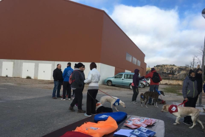 Moment de la celebració de l'acte solidari amb gossos.