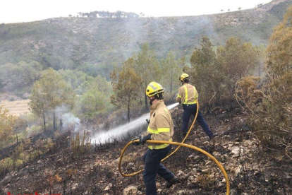 Imatge dels Bombers remullant la zona cremada.