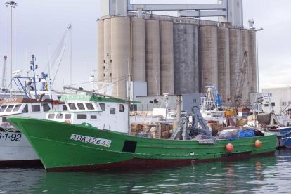 Entre el 2014 y el 2017, Tarragona ha perdido ocho barcas de pescado azul. Ahora, se sumarán dos más.