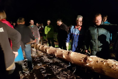 Como marca la tradición, se cortó un pino bien alto y recto para replantarlo ante el Centro Cívico.