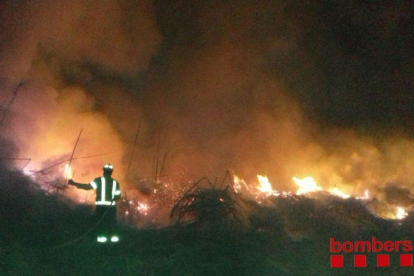 Imatge de l'incendi d'un canyar a Vinebre.