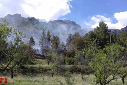 El incendio se ha producido en la entrada del municipio del Baix Ebre.