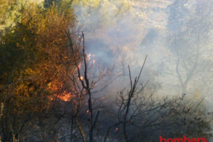 El fuego ha afectado a más de dos hectáreas de masa forestal y campos de olivos abandonados.