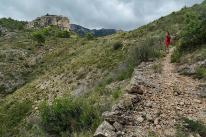 Imagen de un camino de montaña a|en la sierra de Cardó, entre Tivenys y el Perelló.