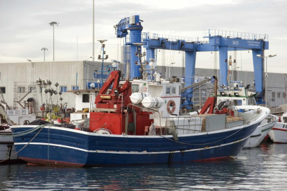 L'acord de la Confraria amb Mercadona satisfà el col·lectiu de pescadors del Serrallo.