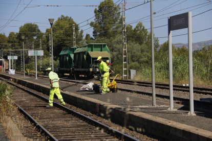 Pla general d'operaris feinejant a l'estació dels Guiamets, on ha descarrilat un tren de mercaderies. Imatge del 5 de juliol de 2018