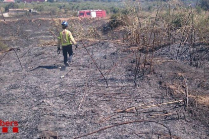 Han quemado 2,9 hectáreas de vegetación cerca de la N-340 en la Canonja.