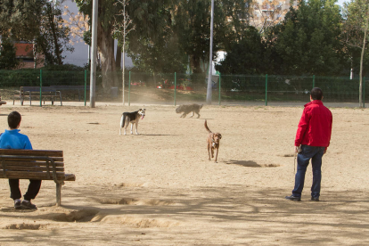 Imatge d'arxiu de diversos usuaris del parc per a gossos instal·lat a la plaça del Velòdrom.
