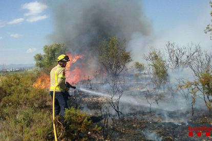 Un bomber treballant per apagar el foc del camp de blat de Constantí.