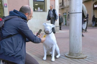 Imagen de una de las figuras para promover la adopción