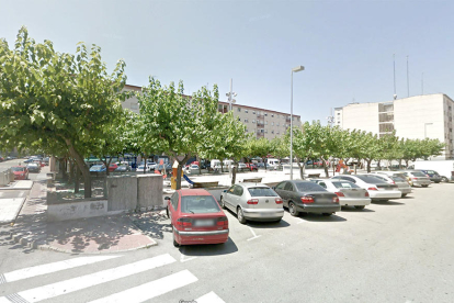 Los agentes localizaron las armas dentro de un vehículo en la plaza de Catalunya de Sant Pere i Sant Pau.