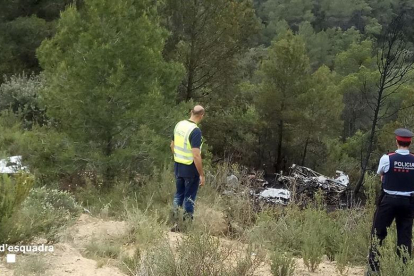Els Mossos d'Esquadra inspeccionant la zona on ha caigut l'avioneta