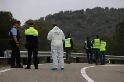 Pla general de la unitat científica dels Mossos d'Esquadra en l'accident de l'avioneta estavellada entre Vinebre i Flix a la Ribera dEbre aquest 12 de maig del 2018. (Hortizontal)