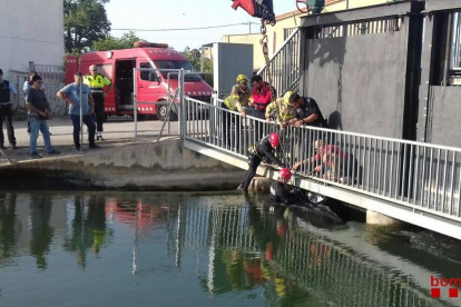 Els bombers ajudant a treure el cotxe del canal