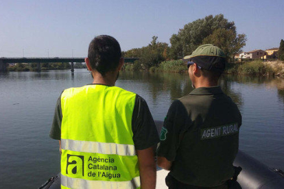 Pla mig d'un tècnic de l'ACA i un Agent Rural recorrent el riu Ebre amb una embarcació.