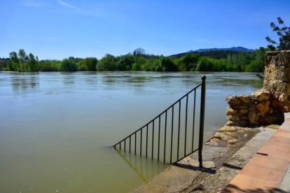 El riu Ebre al seu pas pel municipi riberenc de Miravet.