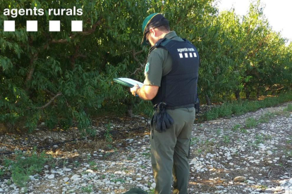 Los Agents Rurals están llevando a cabo inspecciones de caza en motivo del inicio de la media veda.