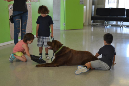 Los niños han aprendido qué cuidados necesitan los perros.