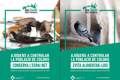 Carteles de la campaña para reducir el número de palomas a Reus.