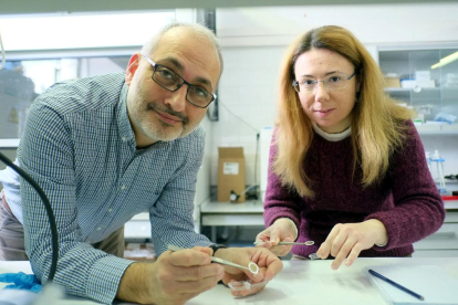 Els investigadors de la URV Lluís Marsal i Elisabet Xifre, al laboratori on s'ha provat l'alúmina nanoporosa.
