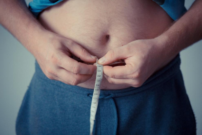 La investigació ha avançat en el que pot ser un major control de la obesitat.