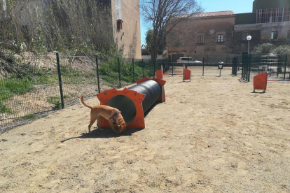En el parque han instalado un tubo para que los perros pasen por dentro.