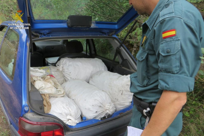 Los agentes pillaron un vehículo cargado con 70 kilos de algarrobas recién cogidas.