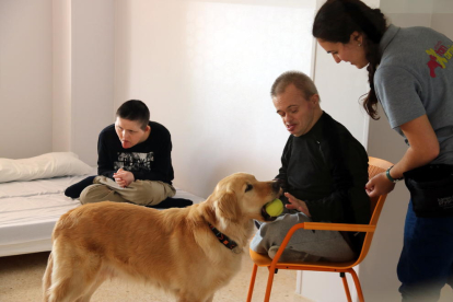 Dos pacientes con trastorno mental interactuando con un perro en el centro Villablanca, del grupo Pere Mata de Reus, en unas nuevas dependencias con salas donde se ofrecen varias actividades terapéuticas.