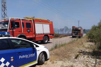 Imagen del incendio que ha tenido lugar en el camino del lado del Mas de Miralles de Amposta.