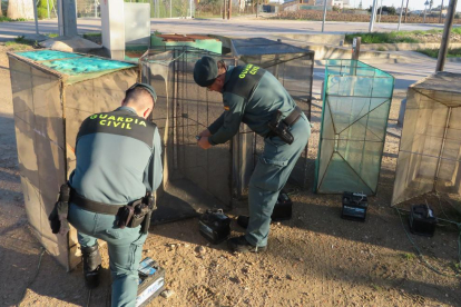 Los agentes del Deprona realizaron un total de 17 inspecciones en la desembocadura del río Ebro.