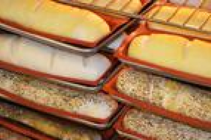 Les diferents tipologies de pa estan més regulades a partir d'aquest juliol.