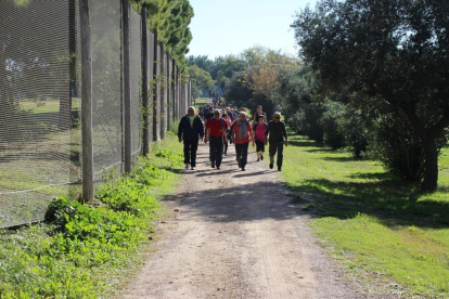 La ruta d'enguany també comptava amb dos circuits diferents