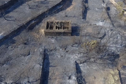 Pla aeri captat amb dron de la zona cremada per l'incendi de Ribera d'Ebre a Bovera on es pot veure un mas sense la teulada per l'efecte de les flames,.