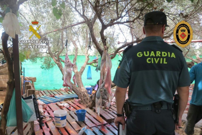 El matadero ilegal se encontraba en una explotación ubicada en Camí dels Ovellons de Constantí.